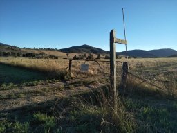 The Corryong Cup 2019