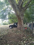 50303909_183117889312753_4918318233498419200_n